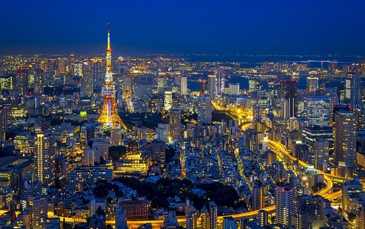ночь, огни, панорама, япония, башня, токио, night, lights, panorama, japan, tower, tokyo