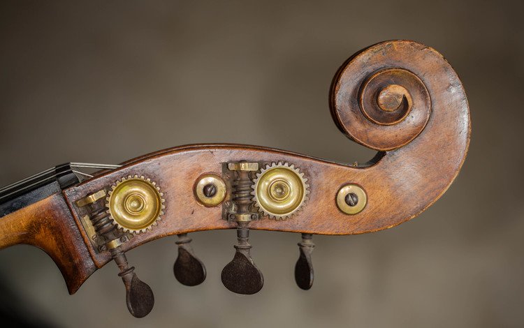 скрипка, крупный план, музыкальный инструмент, violin, close-up, musical instrument