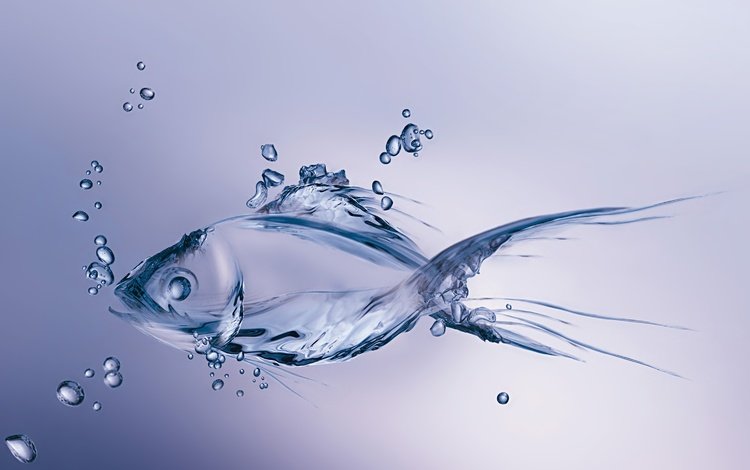 вода, капли, графика, рыбка, пузырьки, рыба, 3д, water, drops, graphics, fish, bubbles, 3d