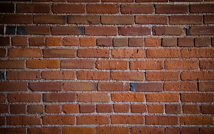 текстура, стена, кирпичи, поверхность, кирпичная стена, texture, wall, bricks, surface, brick wall