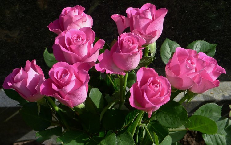 цветы, бутоны, розы, лепестки, букет, розовые, flowers, buds, roses, petals, bouquet, pink