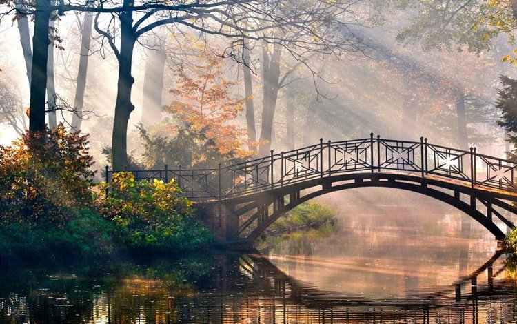 деревья, река, листья, парк, мост, осень, рирода, trees, river, leaves, park, bridge, autumn