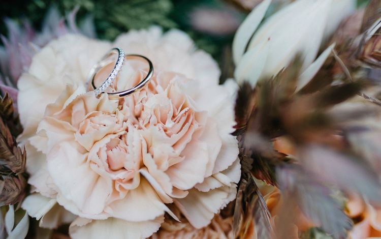 цветок, кольцо, свадьба, обручальные кольца, боке, flower, ring, wedding, engagement rings, bokeh