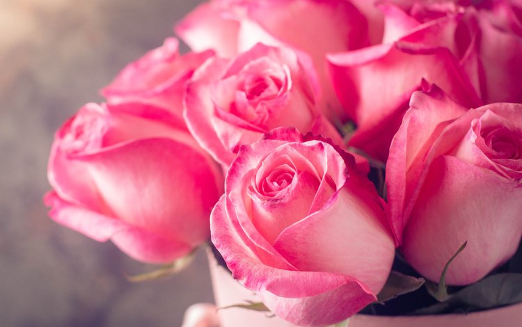 цветы, бутоны, розы, лепестки, букет, розовые, flowers, buds, roses, petals, bouquet, pink