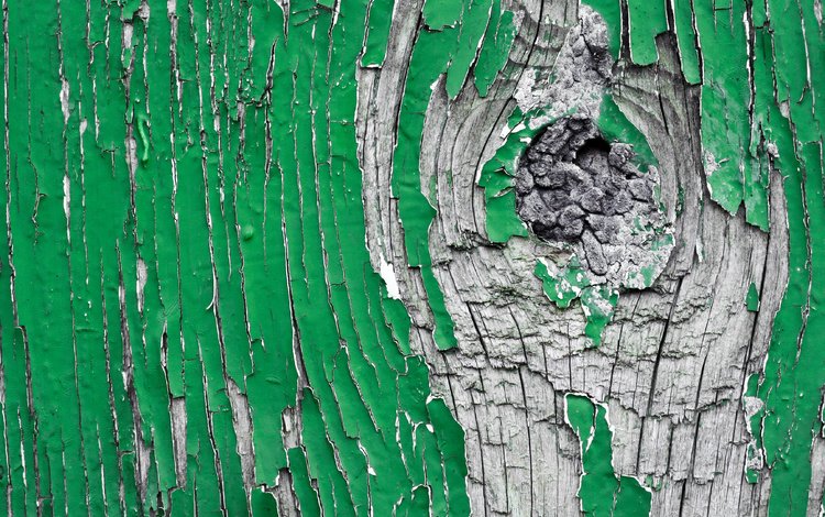 дерево, текстура, зелёный, краска, деревянная поверхность, облупившаяся краска, tree, texture, green, paint, wooden surface