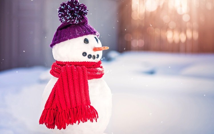 снег, зима, снеговик, шарф, snow, winter, snowman, scarf