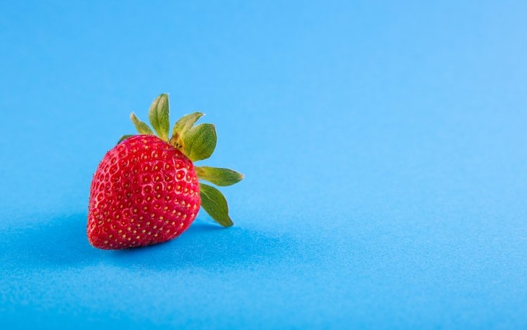 ягода, клубника, голубой фон, berry, strawberry, blue background