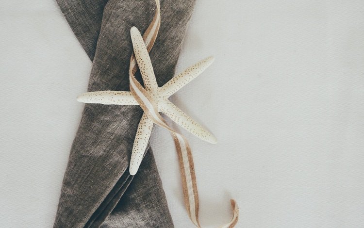 ткань, ленточка, морская звезда, сукно, fabric, ribbon, starfish, cloth