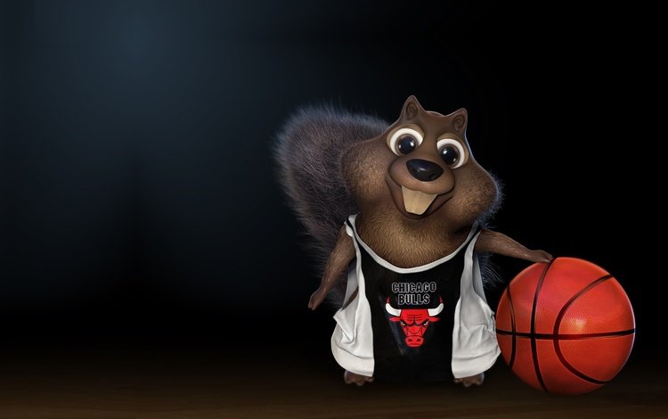 черный фон, мяч, баскетбол, белочка, чикаго буллз, black background, the ball, basketball, squirrel, chicago bulls
