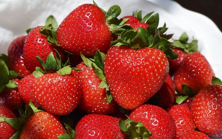 клубника, ягоды, земляника, strawberry, berries, strawberries