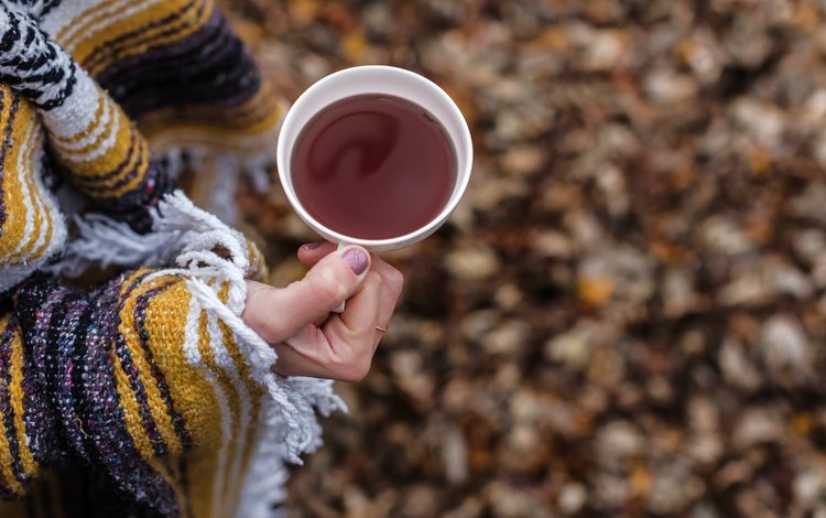 напиток, осень, руки, чашка, чай, drink, autumn, hands, cup, tea