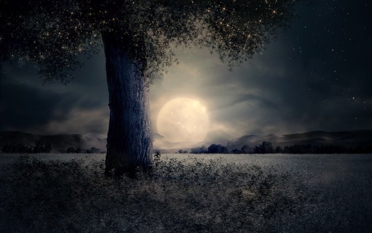 ночь, дерево, пейзаж, луна, night, tree, landscape, the moon