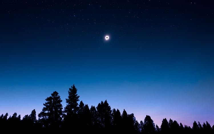 небо, ночь, деревья, природа, луна, силуэт, the sky, night, trees, nature, the moon, silhouette