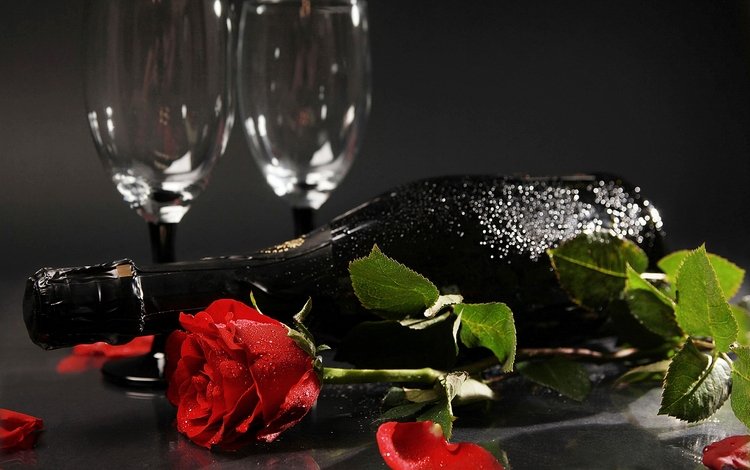 цветок, роза, лепестки, бутон, бутылка, бокалы, шампанское, красная роза, flower, rose, petals, bud, bottle, glasses, champagne, red rose