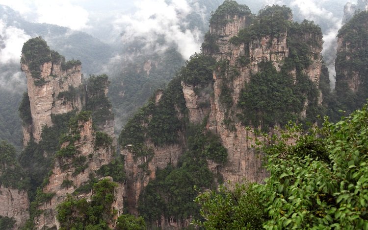 горы, скалы, природа, туман, китай, zhangjiajie national forest park, zhangjiajie national park, чжанцзяцзе, mountains, rocks, nature, fog, china, zhangjiajie