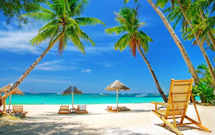 море, песок, пляж, пальмы, отдых, зонтики, sea, sand, beach, palm trees, stay, umbrellas