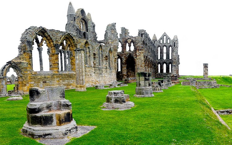 трава, руины, англия, северный йоркшир, аббатство, аббатство уитби, grass, ruins, england, north yorkshire, abbey, whitby abbey