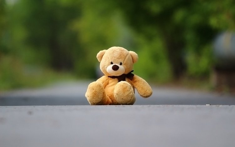 фон, медведь, мишка, игрушка, асфальт, плюшевый мишка, background, bear, toy, asphalt, teddy bear