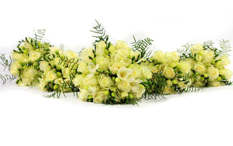цветы, розы, букет, белый фон, белые, фрезии, фрезия, букеты, flowers, roses, bouquet, white background, white, freesia, bouquets