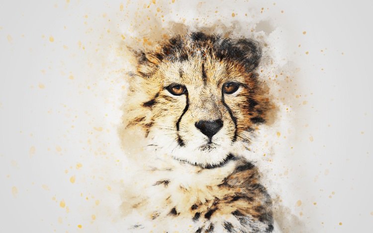 морда, картина, взгляд, гепард, акварель, face, picture, look, cheetah, watercolor