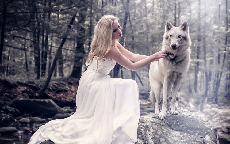 лес, девушка, платье, взгляд, волосы, лицо, волк, фотоманипуляция, forest, girl, dress, look, hair, face, wolf, photo manipulation