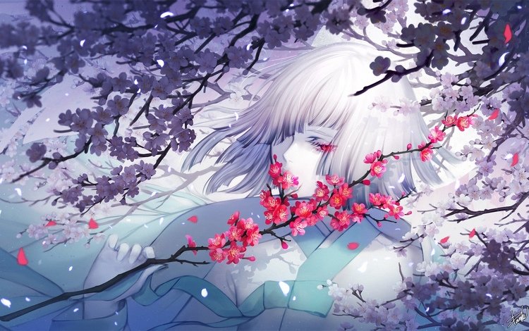 цветы, ветка, девушка, сакура, белые волосы, flowers, branch, girl, sakura, white hair