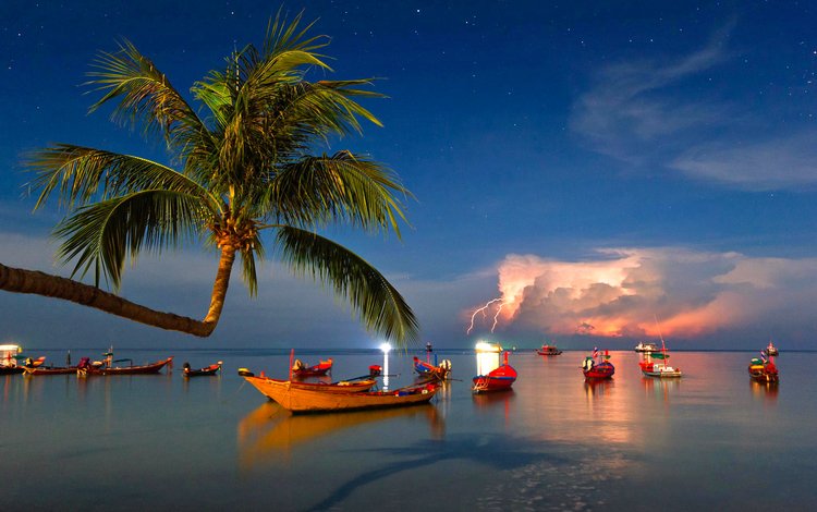 вечер, море, лодки, пальма, гроза, тропики, the evening, sea, boats, palma, the storm, tropics
