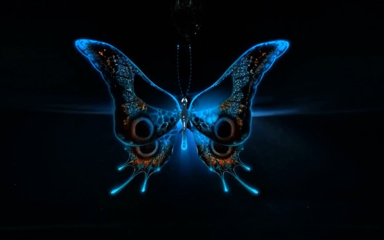 свет, неон, насекомое, бабочка, крылья, черный фон, 3д, light, neon, insect, butterfly, wings, black background, 3d
