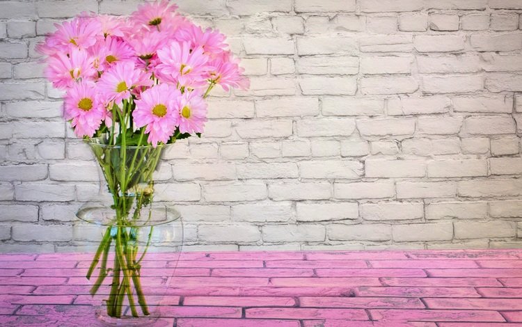 цветы, букет, розовый, ваза, маргаритки, flowers, bouquet, pink, vase, daisy
