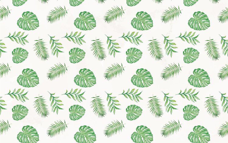 текстура, фон, узор,  листья, грин, texture, background, pattern, leaves, green