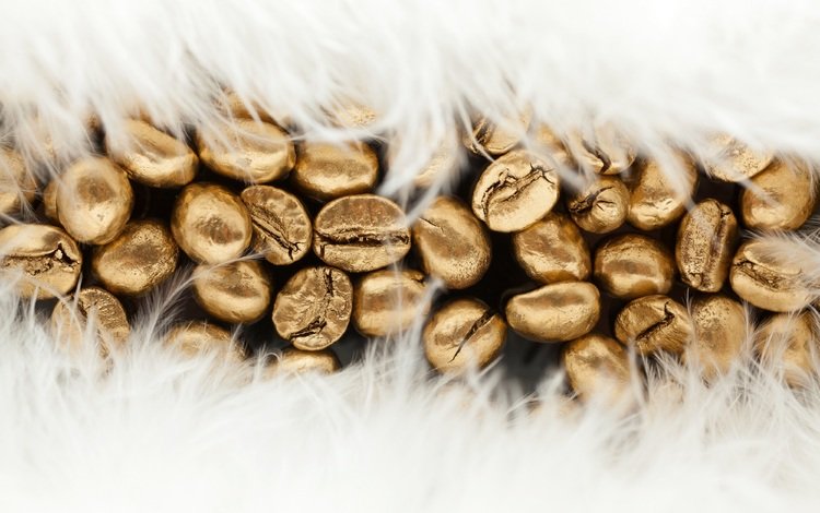 текстура, кофе, перья, золото, кофейные зерна, texture, coffee, feathers, gold, coffee beans