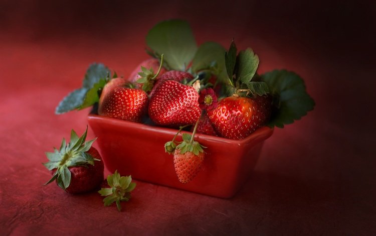 ягода, клубника, спелая, земляника, сочная, berry, strawberry, ripe, strawberries, juicy