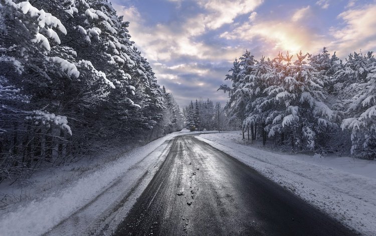 дорога, снег, природа, лес, зима, лесополоса, road, snow, nature, forest, winter