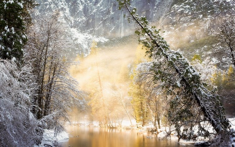 река, солнце, природа, лес, зима, river, the sun, nature, forest, winter