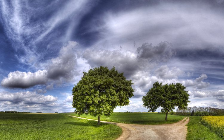 небо, дорога, трава, облака, природа, зелень, пейзаж, луг, the sky, road, grass, clouds, nature, greens, landscape, meadow