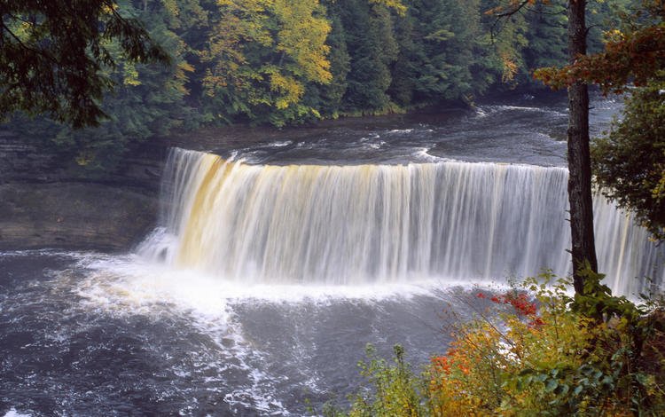 природа, лес, водопад, осень, nature, forest, waterfall, autumn