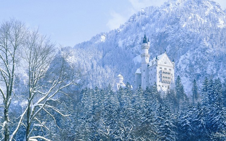 деревья, горы, зима, замок, германия, нойшванштайн, trees, mountains, winter, castle, germany, neuschwanstein