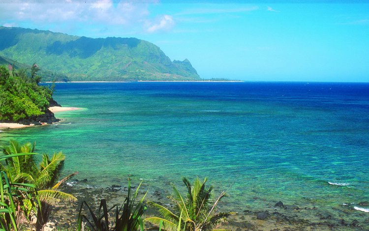 природа, гавайи, берег, гавайские острова, море, скала, горизонт, океан, сша, бухта, nature, hawaii, shore, the hawaiian islands, sea, rock, horizon, the ocean, usa, bay
