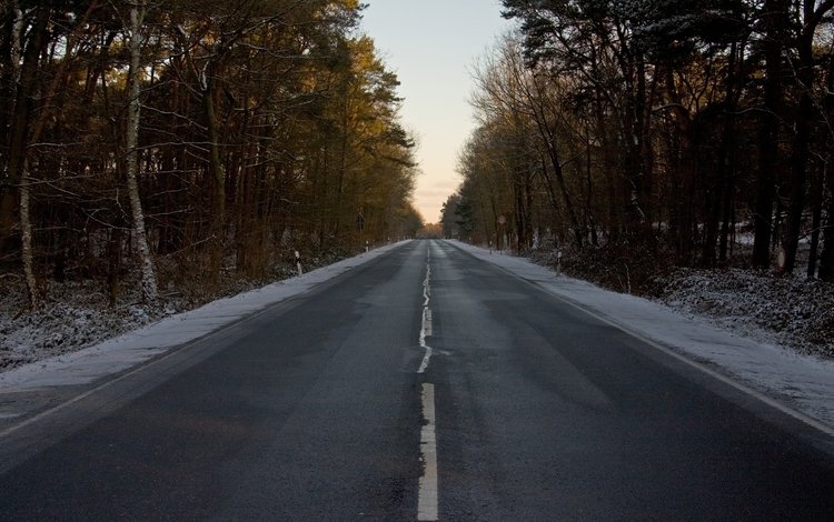 дорога, лес, зима, разметка, знак, road, forest, winter, markup, sign