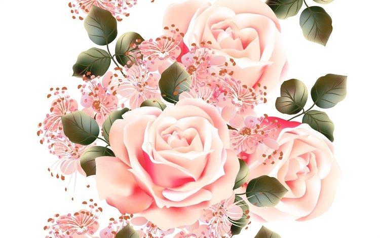 цветы, текстура, фон, розы, белый, flowers, texture, background, roses, white