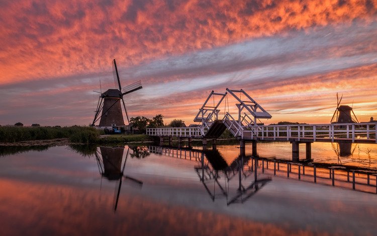 вечер, мельница, нидерланды, голландия, the evening, mill, netherlands, holland