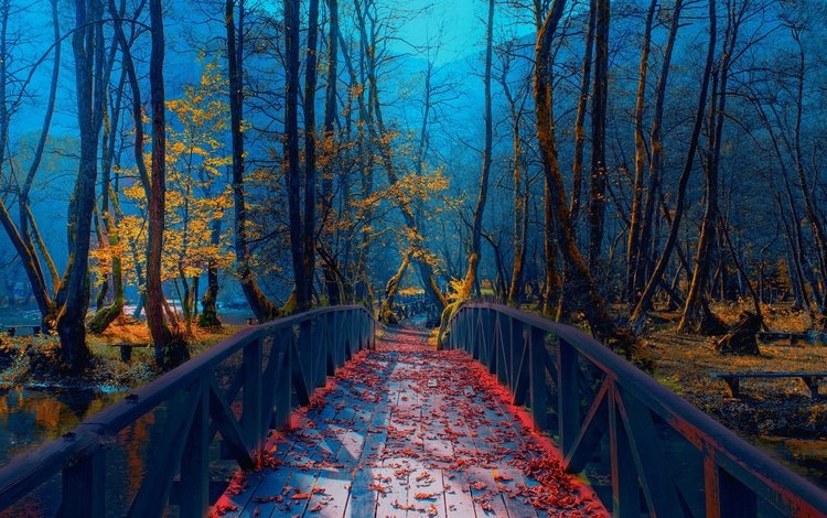 река, парк, листва, мост, осень, босния, mevludin, sejmenovic, river, park, foliage, bridge, autumn, bosnia