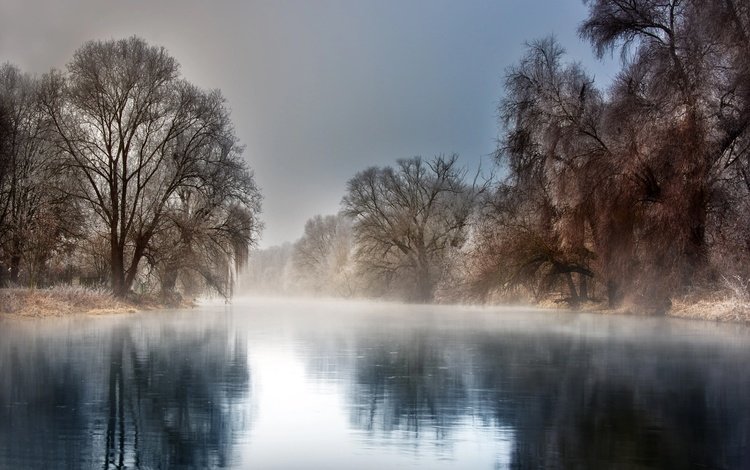 деревья, иней, река, природа, зима, отражение, пейзаж, туман, мороз, trees, river, nature, winter, reflection, landscape, fog, frost