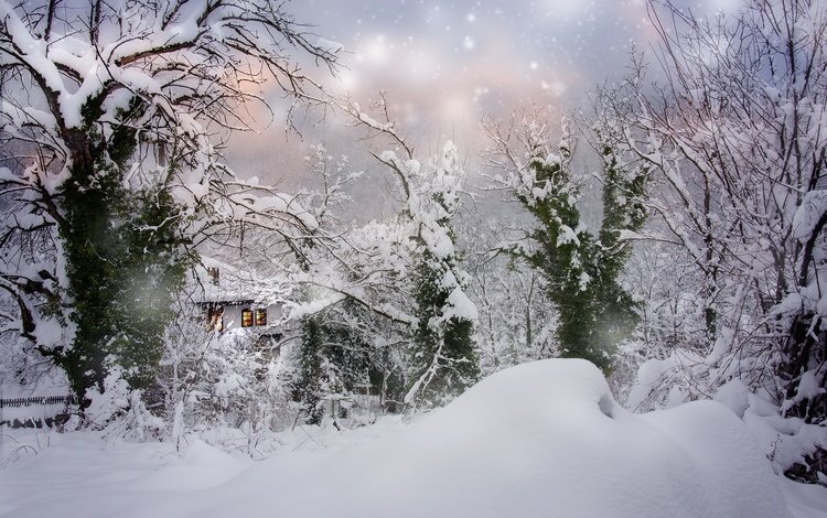 деревья, болгария, снег, природа, зима, пейзаж, дом, сугробы, снегопад, trees, bulgaria, snow, nature, winter, landscape, house, the snow, snowfall