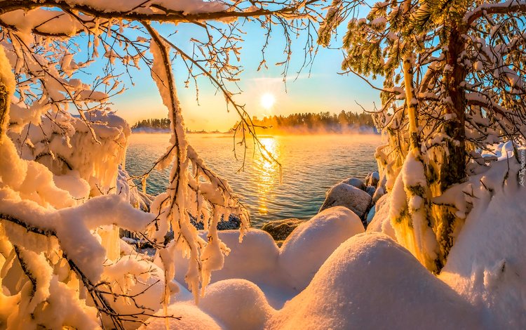 озеро, снег, лес, закат, зима, lake, snow, forest, sunset, winter
