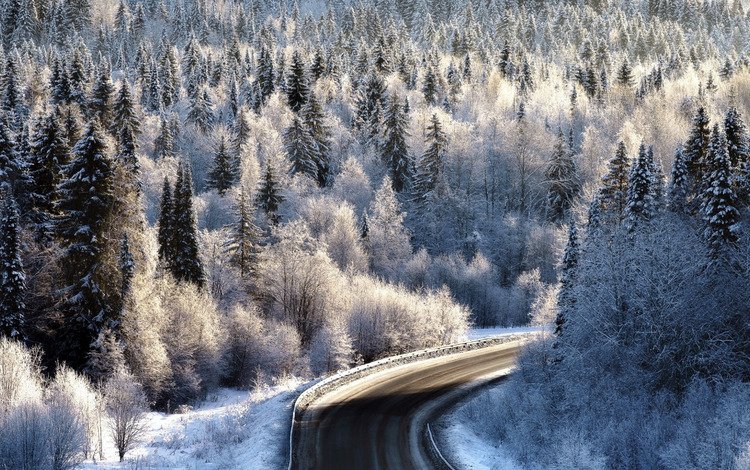 дорога, лес, зима, иней, road, forest, winter, frost