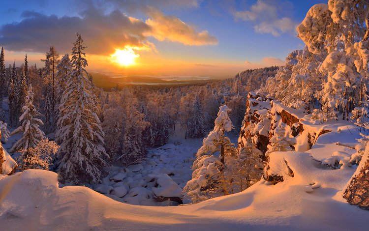 снег, лес, закат, зима, snow, forest, sunset, winter
