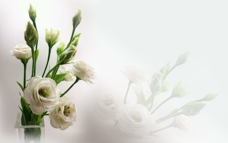 цветы, бутоны, розы, букет, ваза, эустома, flowers, buds, roses, bouquet, vase, eustoma