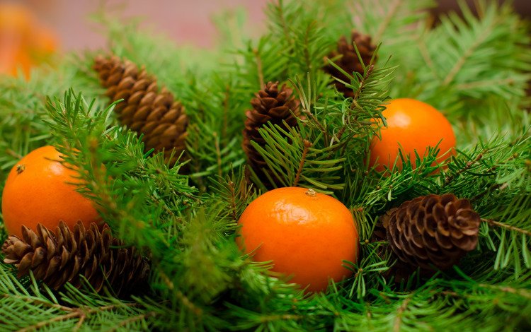 ветки ели, новый год, mandarines, украшения, плоды, рождество, мандарины, дерева, мандаринка, merry, fir tree, fir-tree branches, new year, decoration, fruit, christmas, tangerines, wood, tangerine