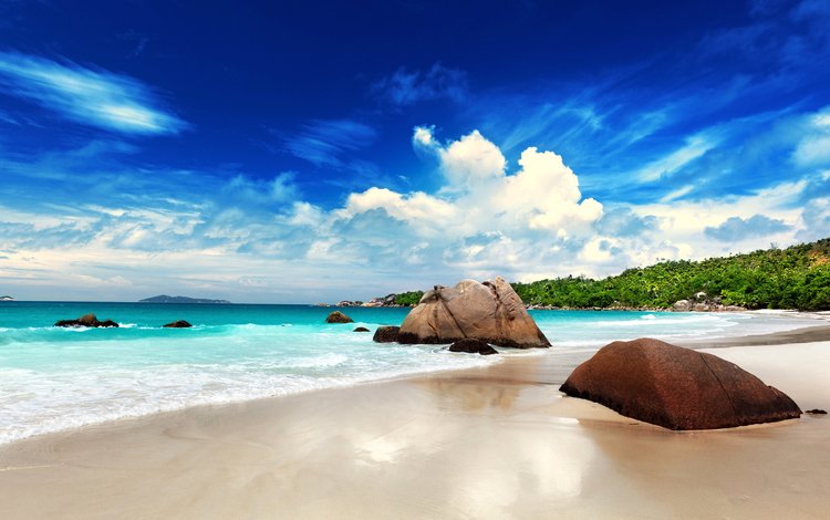 море, пляж, тропики, сейшелы, sea, beach, tropics, seychelles